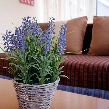 Nice & Quiet Apartment In Best Area อเล็กซานโดรโพลิส ภายนอก รูปภาพ